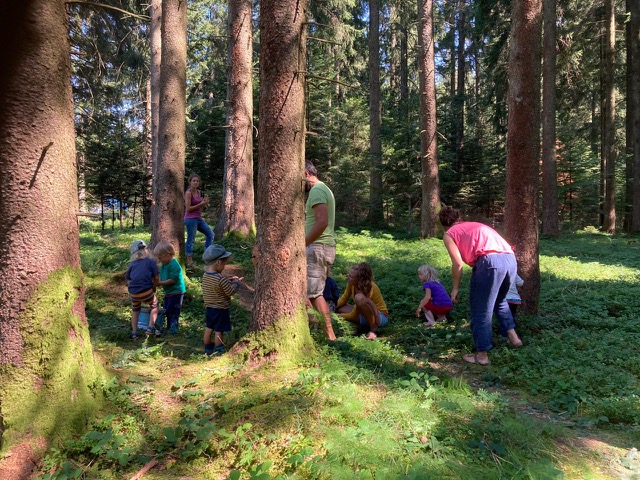 Wald und Wildnisspiele, Waldschnitzeljagd, Wildniskräuter, Kräuterwanderung, Wildniskräuter, Heilkräuter, Kräuterwanderung Allgäu,