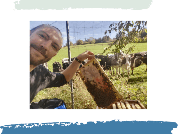 Bienenlehrgang